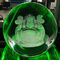 Laser-Graviermaschine des einphasig-3D für 200mm maximale Durchmesser-Glaskugeln fournisseur